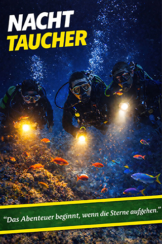 tauchen lernen, nachttauchen