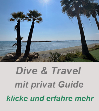privater reiseleiter,privat reisen guide