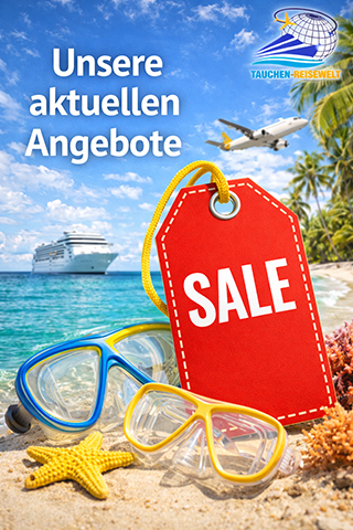 angebote und sale