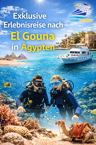tauchreise El Gouna Ägypten
