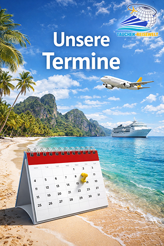 tauchen-reisewelt, termine
