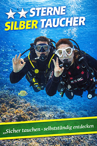 tauchkurs silber