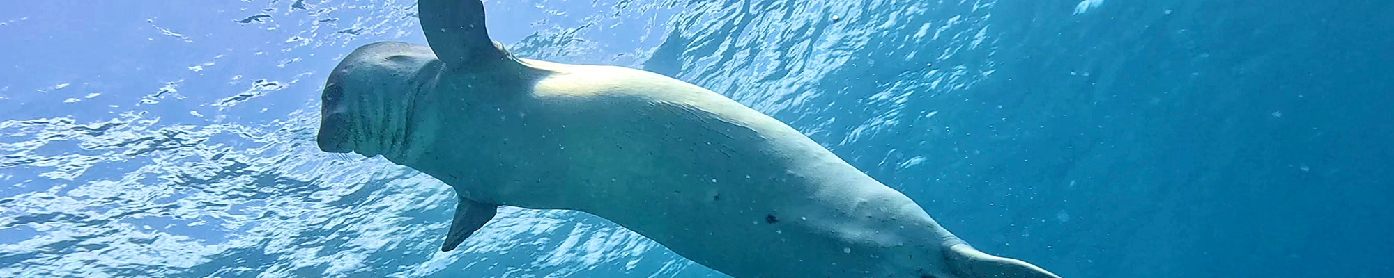 tauchen lernen in nrw